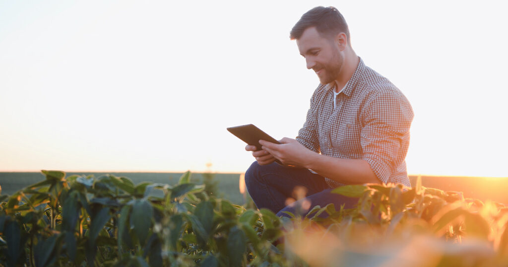 Cresce procura por vagas de emprego no agronegócio em 2023, segundo BNE